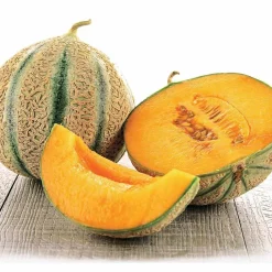 Melon Stellio F1 - Melons sucrés faits maison