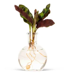 Mini Vase - Petit vase, grand effet déco