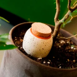 Olla hydratante blanc grainé - Vos plantes hydratées seules