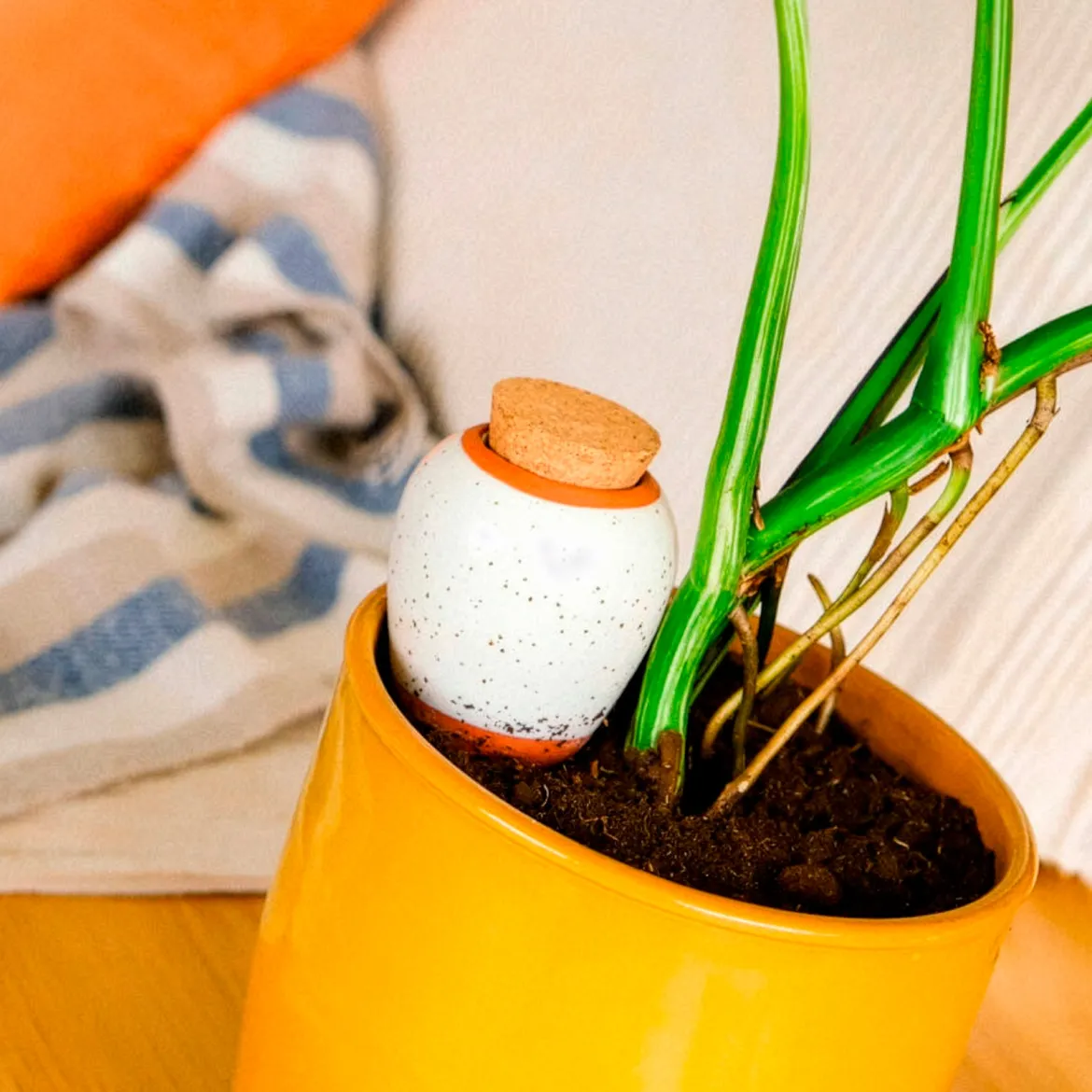 Olla hydratante blanc grainé - Vos plantes hydratées seules