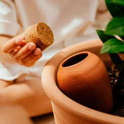 Olla hydratante Terracotta - Vos plantes s'arrosent seules