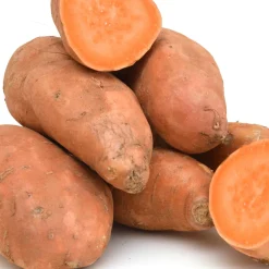 Patate douce - Récolte sucrée et facile