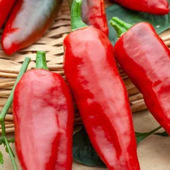 Piment d'Espelette - Gorria - Le vrai goût du Sud-Ouest