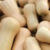 Plant Butternut - Des courges sucrées tout l'automne