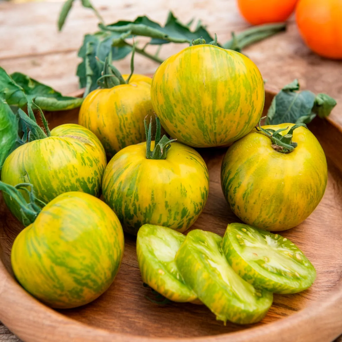 Plant Tomate Green Zebra - Zébrée, sucrée, facile