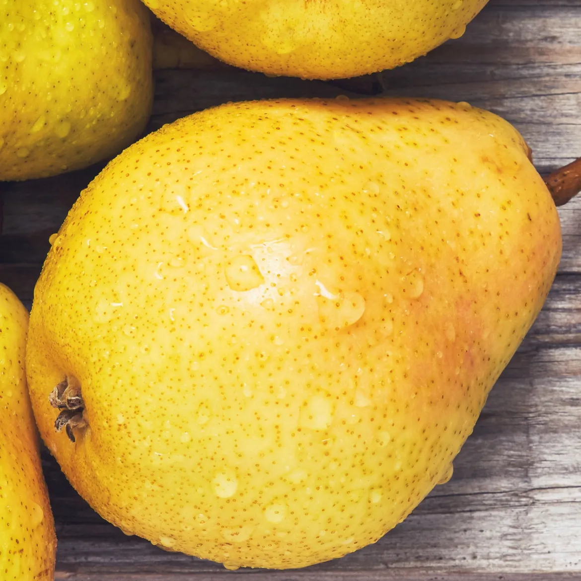 Poirier 'Williams' - La poire star au jardin