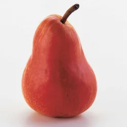 Poirier William's rouge - Des poires rouges sucrées