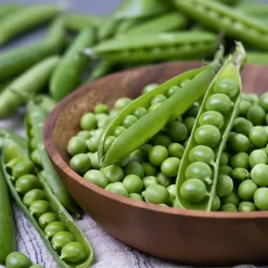 Pois nain Plein le Panier - Des pois sucrés en abondance