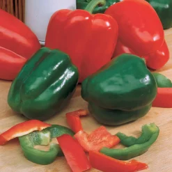 Poivron vert Lamuyo F1 - Des poivrons charnus tout l'été