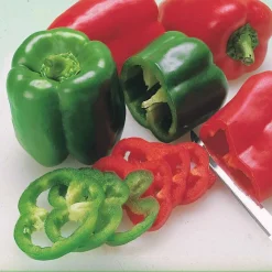 Poivron vert Lamuyo F1 - Des poivrons charnus tout l'été