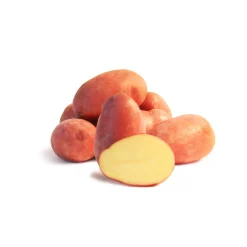 Pomme de terre Rose de France - Cirielle - La patate rose facile à cuisiner