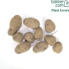 10 Pommes de terre Bleue d'Artois ® - Bleue de la Manche - Une purée bleue qui étonne