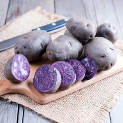 10 Pommes de terre Bleue d'Artois ® - Bleue de la Manche - Une purée bleue qui étonne