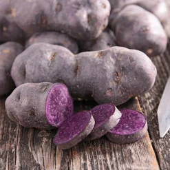 10 Pommes de terre Bleue d'Artois ® - Bleue de la Manche - Une purée bleue qui étonne