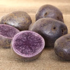 10 Pommes de terre Bleue d'Artois ® - Bleue de la Manche - Une purée bleue qui étonne