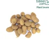 25 Pommes de terre Goldmarie - La frite dorée maison