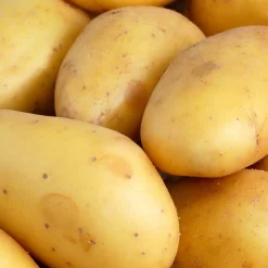 25 Pommes de terre Goldmarie - La frite dorée maison