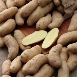 25 Pommes de terre Ratte - La saveur qui change tout