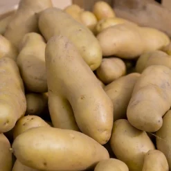 25 Pommes de terre Ratte - La saveur qui change tout