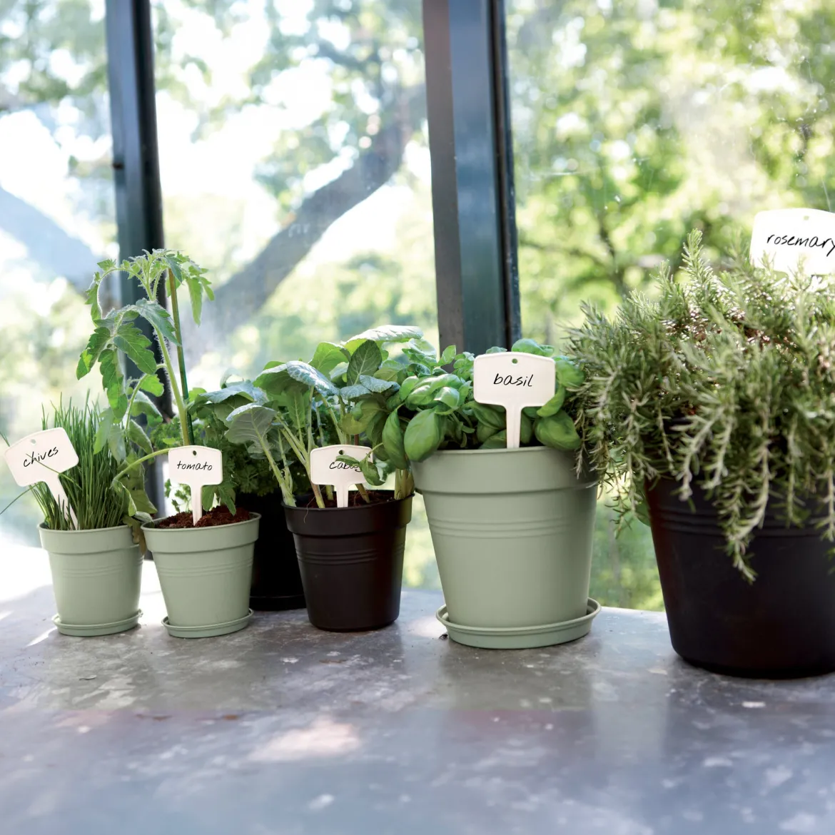 Pot de culture Green Basics Terre cuite - Plantez, ça pousse tout de suite