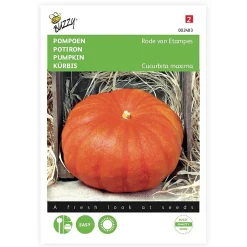 Potiron Rouge Vif d'Etampes - La chair douce du vieux potiron
