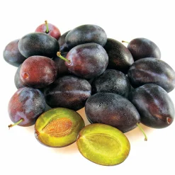 Prunier Quetsche d'Alsace - Des quetsches maison chaque été