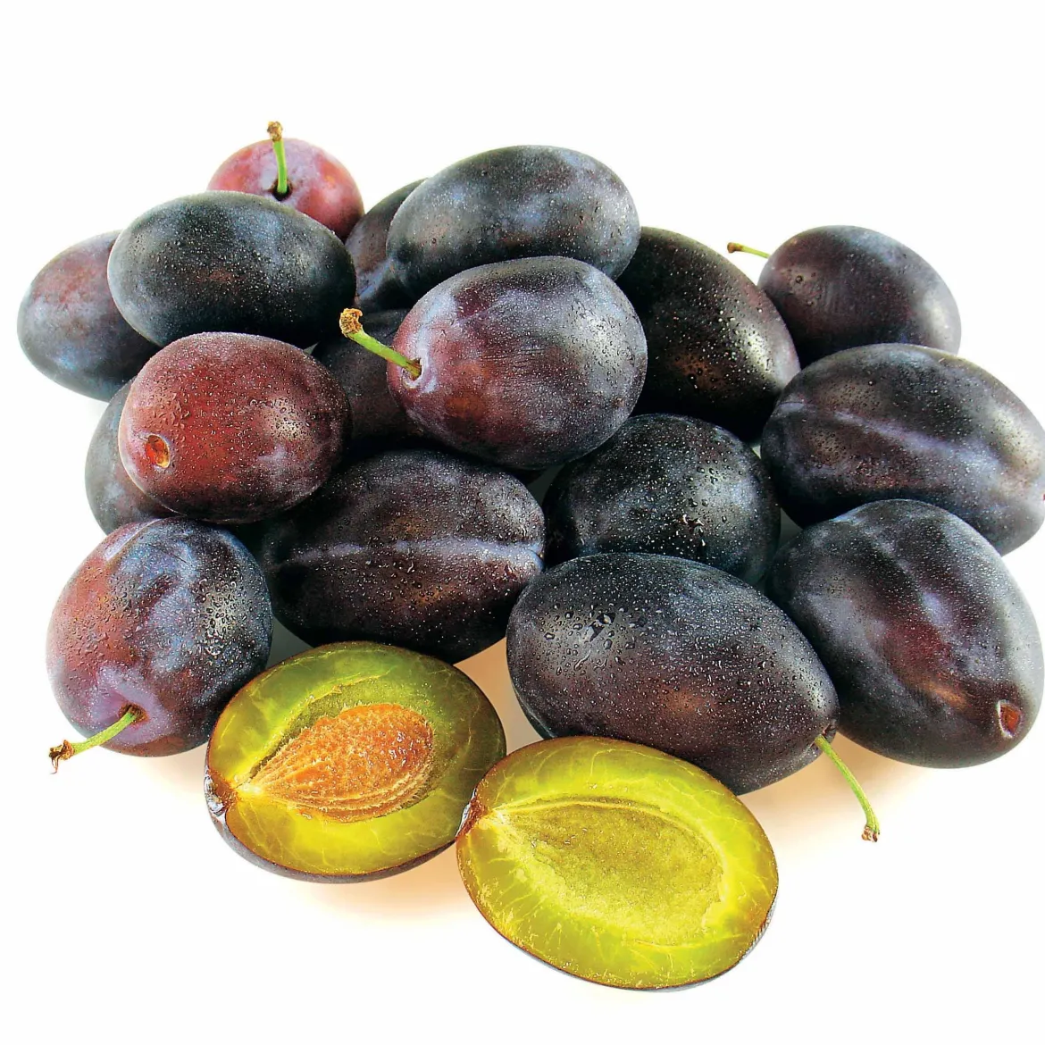 Prunier Quetsche d'Alsace - Des quetsches maison chaque été