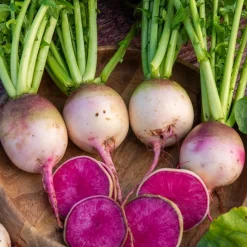 Radis Red Meat - La surprise rose dans l'assiette