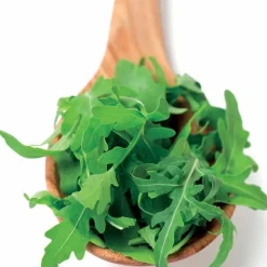 Roquette cultivée Bio - Récolte piquante en 4 semaines