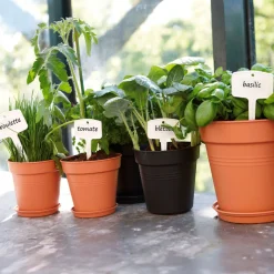 Soucoupe Green Basics Terre cuite ELHO - Terrasse propre, plante saine