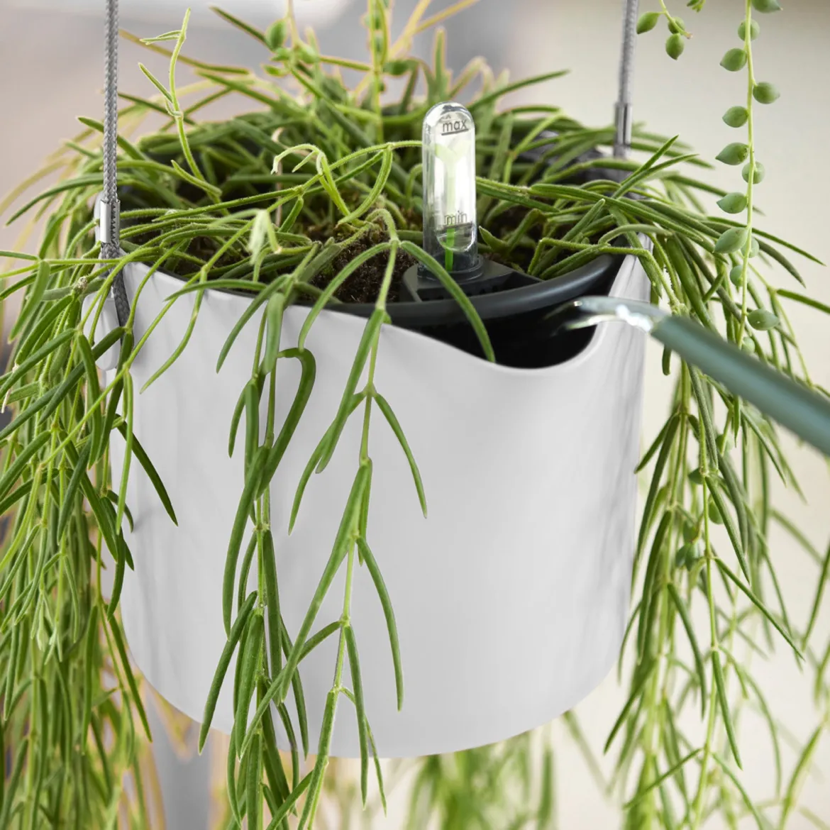 Suspension B for swing blanc ELHO - Vos plantes prennent l'air