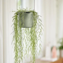Suspension B for swing vert clair ELHO - Vos plantes prennent de la hauteur