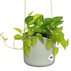 Suspension B for swing vert clair ELHO - Vos plantes prennent de la hauteur