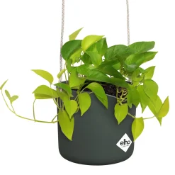 Suspension B for swing vert ELHO
