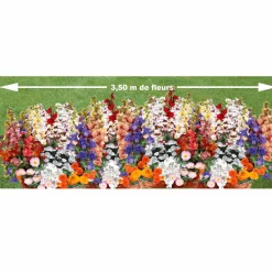 Tapis de fleurs parfumées en mélange - Un jardin fleuri en un geste