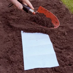 Tapis de fleurs parfumées en mélange - Un jardin fleuri en un geste