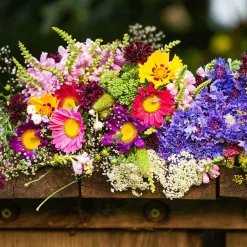 Tapis de fleurs pour jardinière - Semez, arrosez, fleurissez