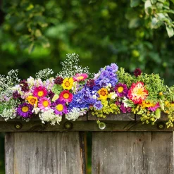 Tapis de fleurs pour jardinière - Semez, arrosez, fleurissez