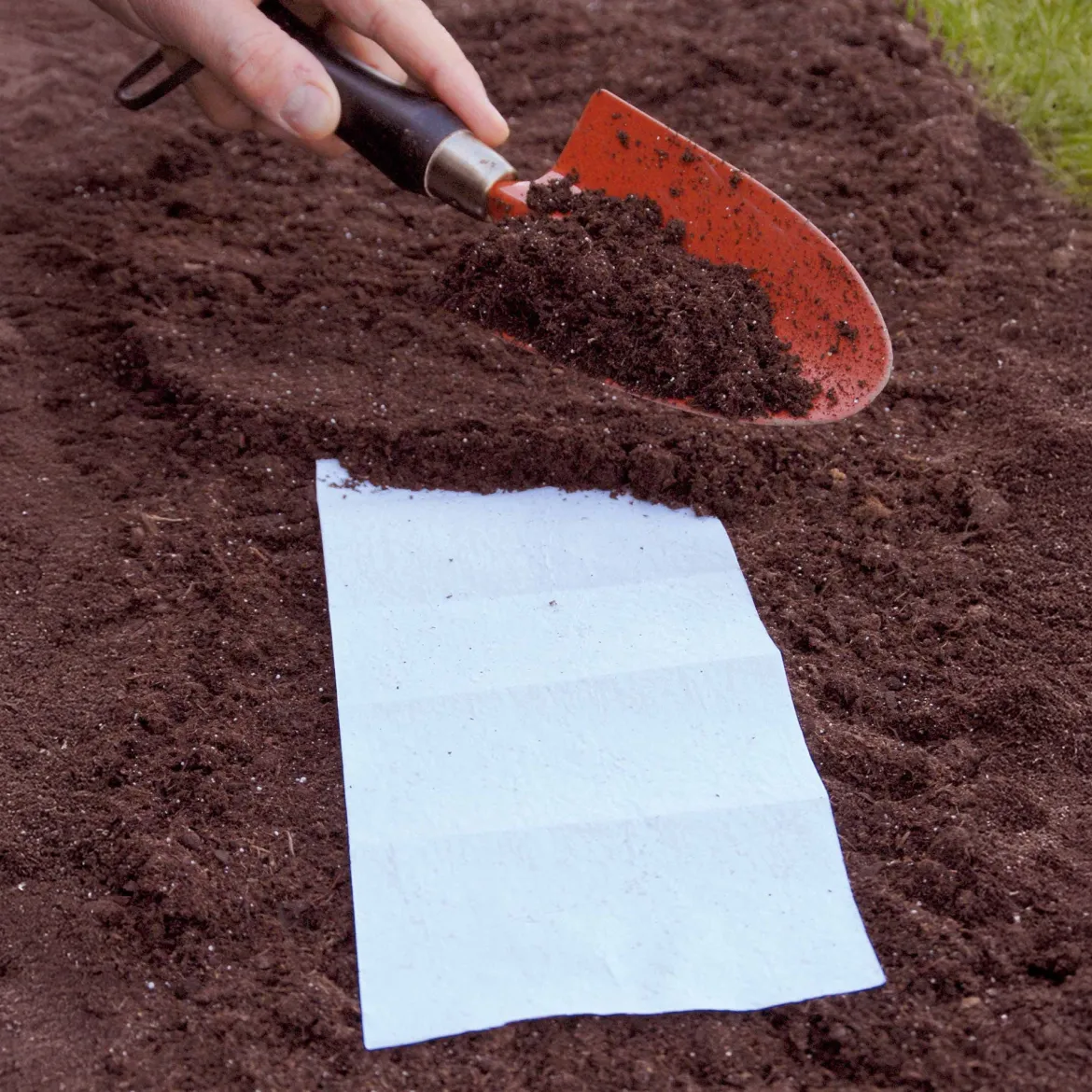 Tapis de fleurs spécial jardinières - Des fleurs sans effort