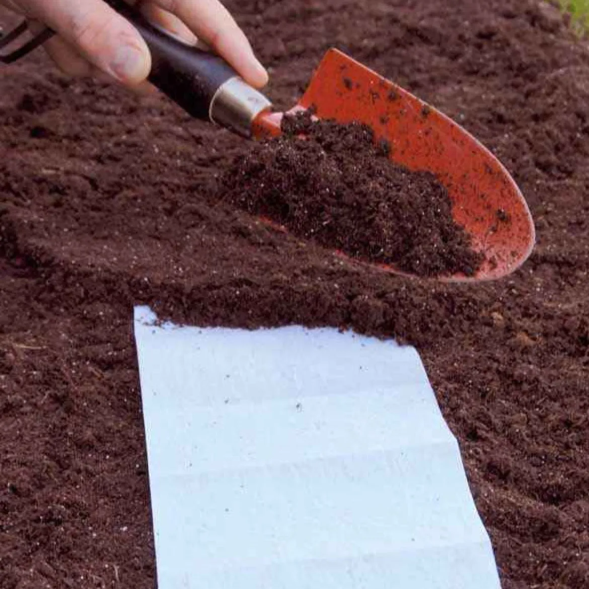 5 Tapis de graines Massif ensoleillé - Un massif fleuri sans effort