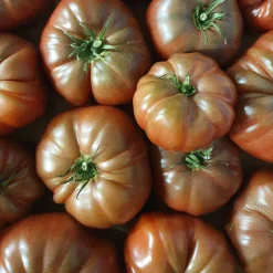 Tomate Noire de Crimée - Une chair fondante et sucrée
