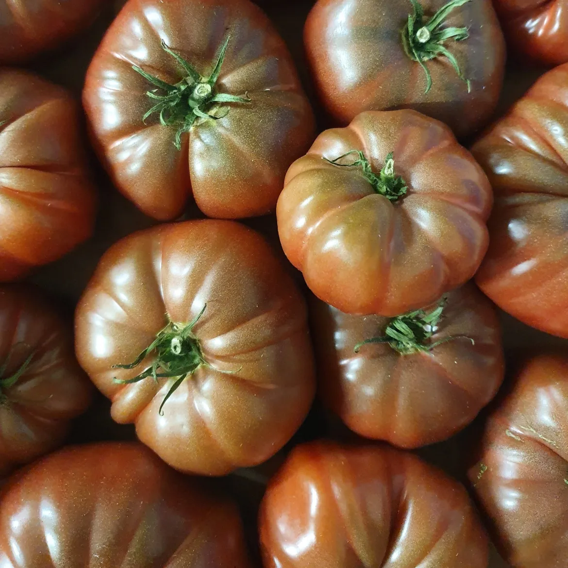 Tomate Noire de Crimée - Une chair fondante et sucrée