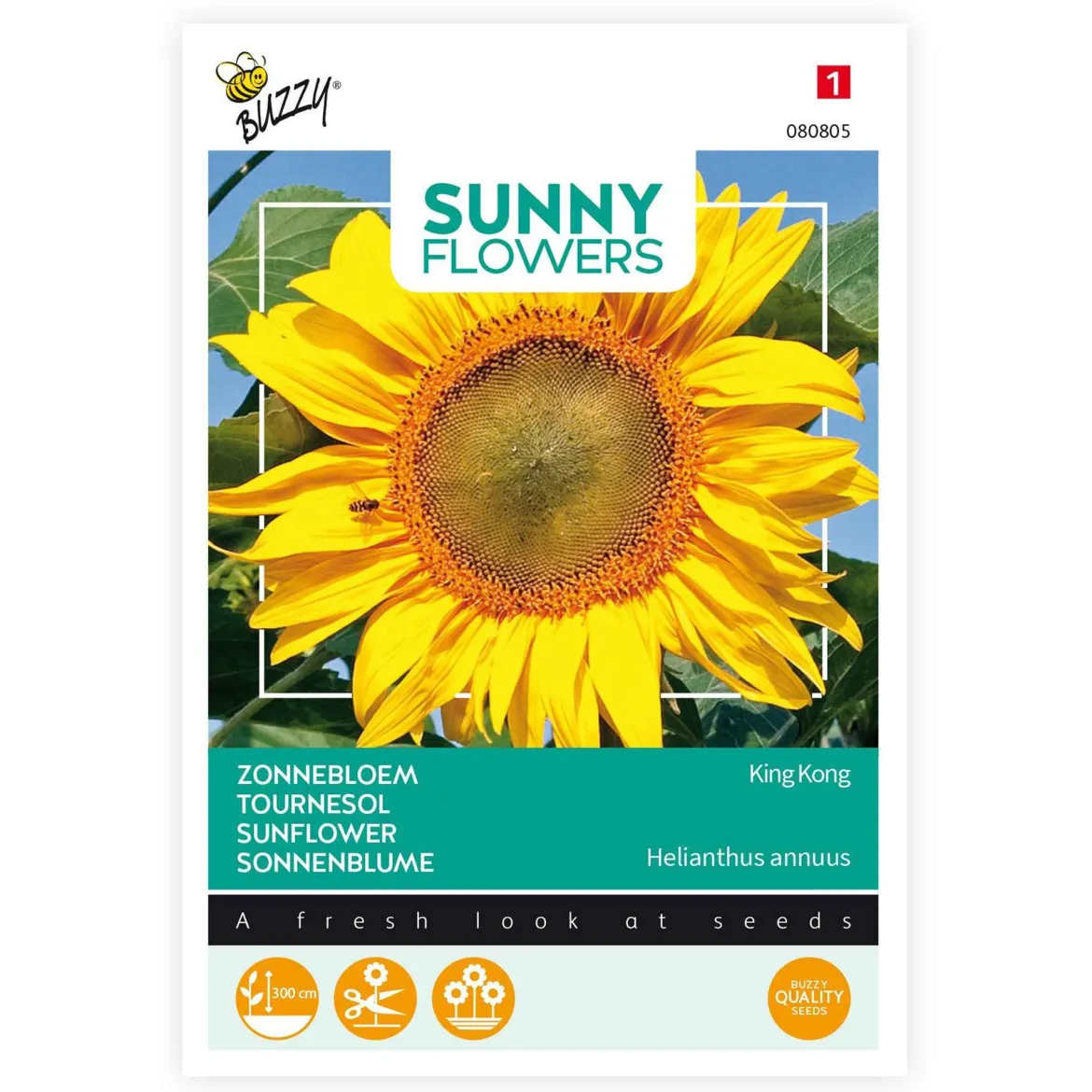 Tournesol géant Kong F1 - Jusqu'à 4 m de haut
