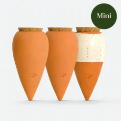 Trio Mini Olla - Les iconiques - Vos plantes s'arrosent seules