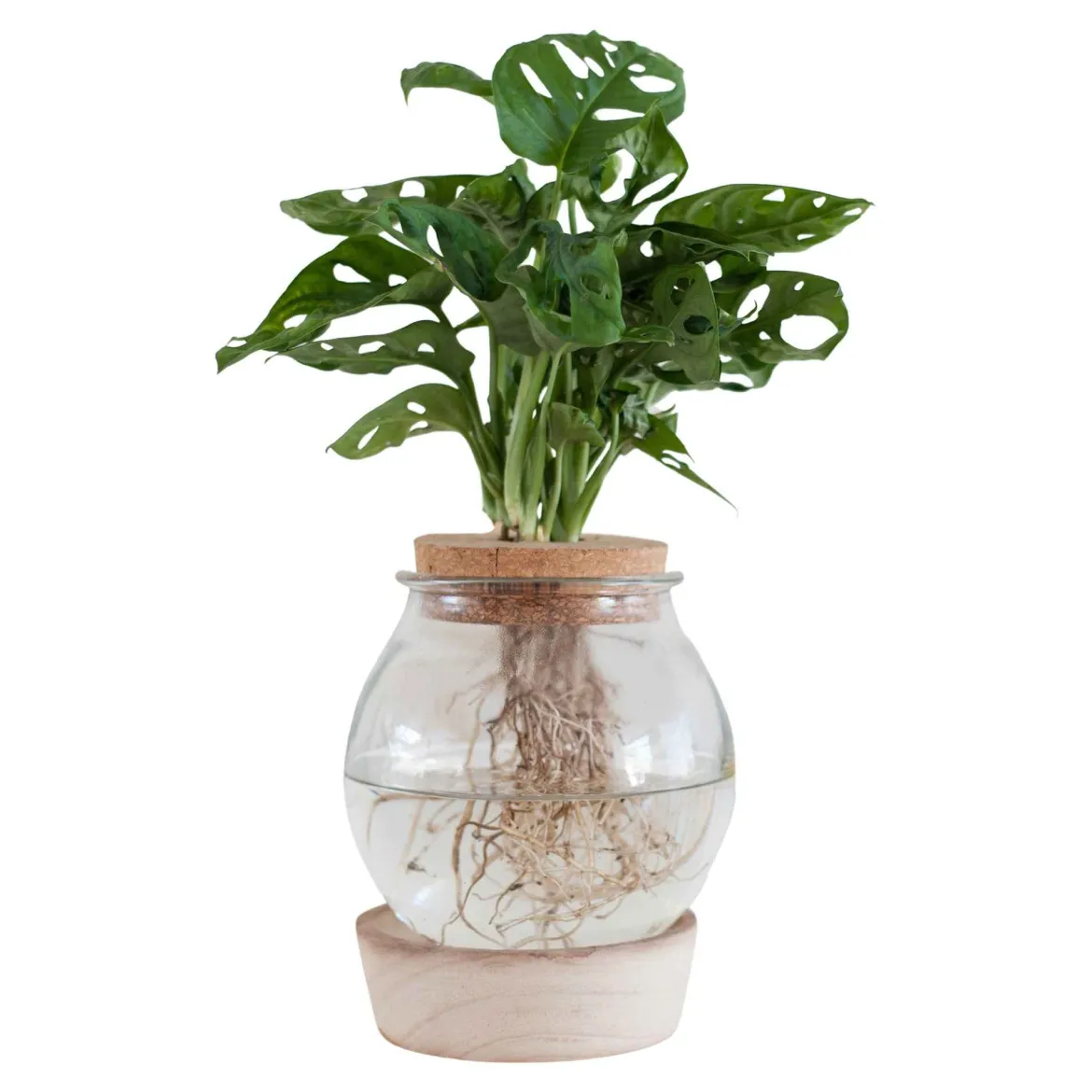 Vase et son support en bois lumineux - La déco qui prend vie