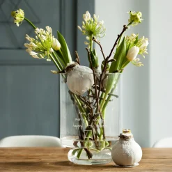Wax Amaryllis Magic White - Fleurit sans eau ni pot